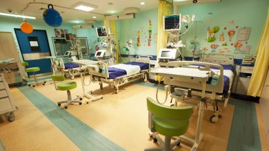 Photo of Iran Medical Tourism Merits More Attention