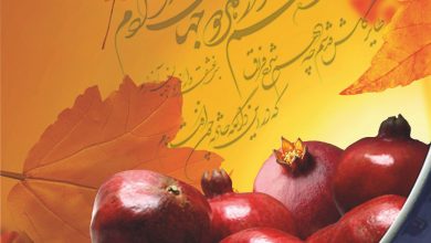 تصویر از فصلنامه خانواده مهر – شماره ۶
